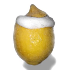 Zitrone gefühlt mit Zitrinen-Eis